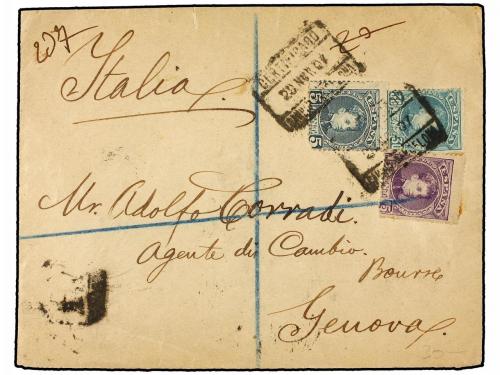 Lot 509