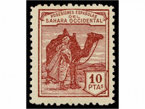 Lote 1563