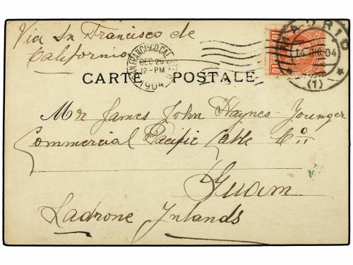 Lot 513