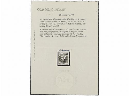 ** ITALIA. 1915-16. 20 cts. s. 5 cts. gris DOBLE SOBRECARGA.