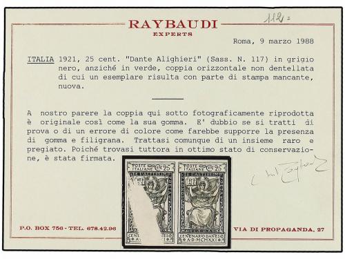 ** ITALIA. Sa. 117C. 25 cts. gris ERROR DE COLOR. Pareja SIN