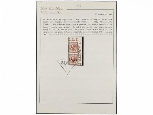 ** ITALIA. 1901. 2 cts. castaño rojo. Pareja vertical MARGEN