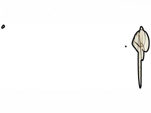 ✉ ESPAÑA: PREFILATELIA. 1851. BERGA as MADRID. AVISO DE LIBR