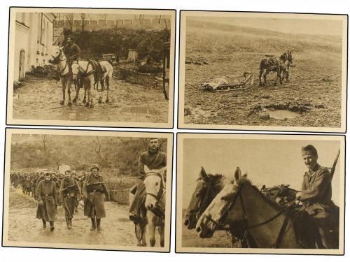 ✉ ESPAÑA GUERRA CIVIL. DIVISIÓN AZUL. Estampas de la Divisió