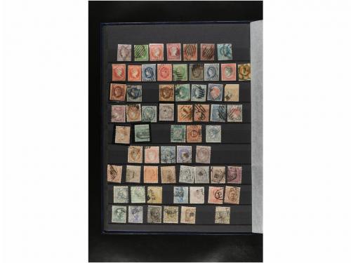 LOTES y COLECCIONES. ESPAÑA. Clasificador con sellos nuevos 