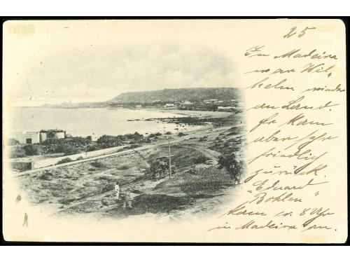 ESPAÑA. Ed. 218. 1900. MADEIRA a ZURICH (Suiza). Tarjeta Pos