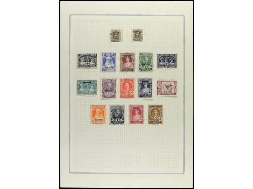 LOTES y COLECCIONES. CRUZ ROJA. Habilitación MUESTRA. Conjun