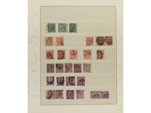 LOTES y COLECCIONES. GRAN BRETAÑA. VICTORIA. Colección monta