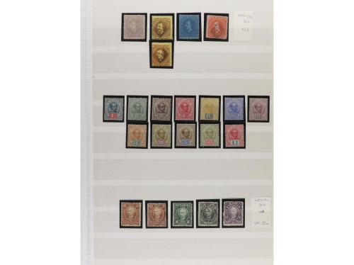 LOTES y COLECCIONES. SARAWAK. Conjunto montado en hojas clas