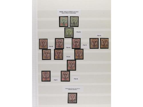 LOTES y COLECCIONES. SIAM. Conjunto montado en hojas clasifi