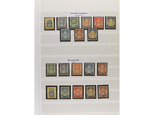 LOTES y COLECCIONES. SIAM. Conjunto montado en hojas clasifi