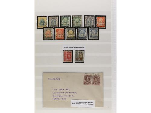 LOTES y COLECCIONES. SIAM. Conjunto montado en hojas clasifi