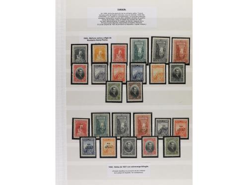 LOTES y COLECCIONES. TRANSJORDANIA-TURQUÍA. Conjunto montado