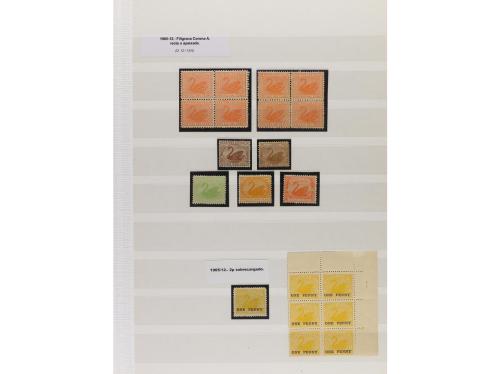 LOTES y COLECCIONES. AUSTRALIA OCCIDENTAL. Conjunto montado 