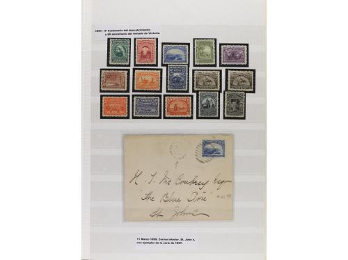 LOTES y COLECCIONES. TERRANOVA. Conjunto montado en hojas cl