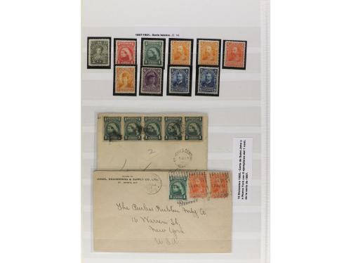 LOTES y COLECCIONES. TERRANOVA. Conjunto montado en hojas cl