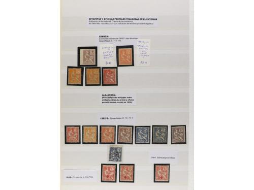 LOTES y COLECCIONES. FRANCIA y COLONIAS. Conjunto montando e