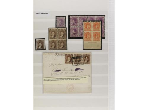 LOTES y COLECCIONES. ARGENTINA. Conjunto montado en clasific
