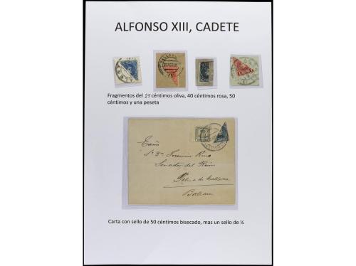 ✉ Δ ESPAÑA. ALFONSO XIII. CADETE. Páginas de álbum con sello