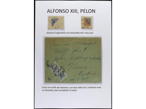 ✉ Δ ESPAÑA. ALFONSO XIII. PELÓN. Páginas de álbum con sellos