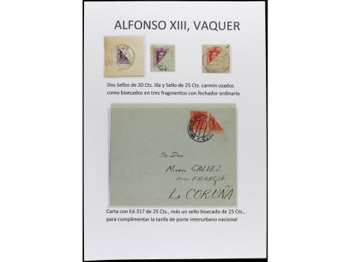 ✉ Δ ESPAÑA. ALFONSO XIII. VAQUER. Páginas de álbum con sello