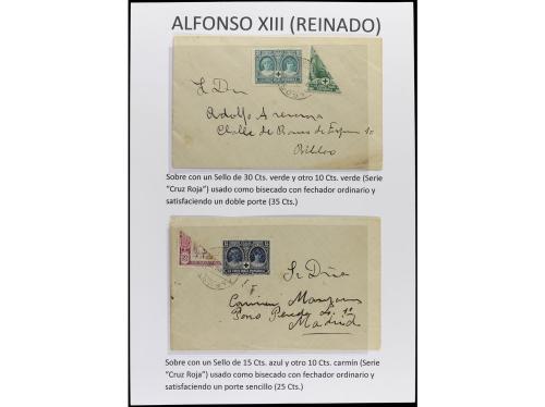 ✉ Δ ESPAÑA. ALFONSO XIII. VAQUER. Páginas de álbum con sello