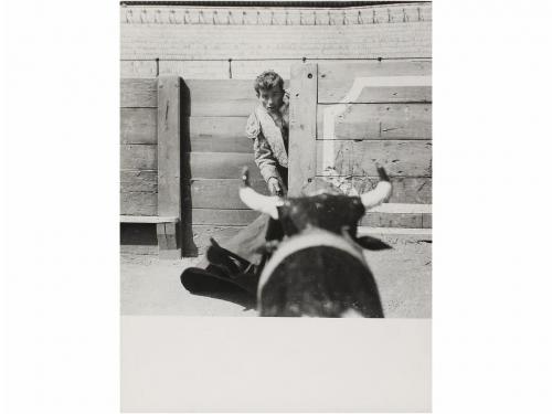 Lot 535