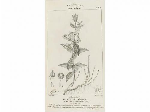 Lot 261