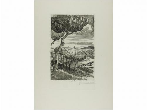 Lot 2331