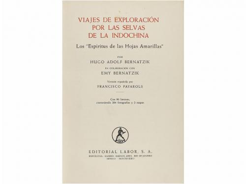 Lote 3140