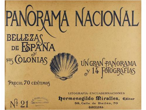 Lote 2995