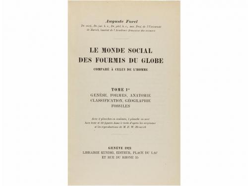 Lot 270