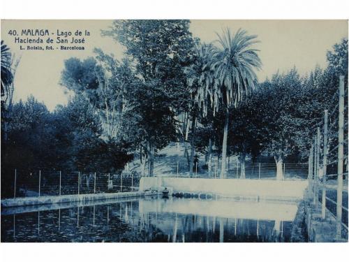Lot 3291