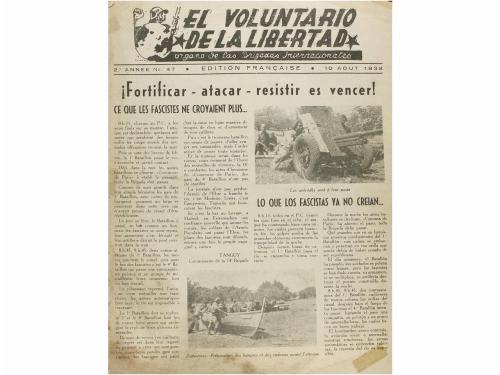 Lote 593
