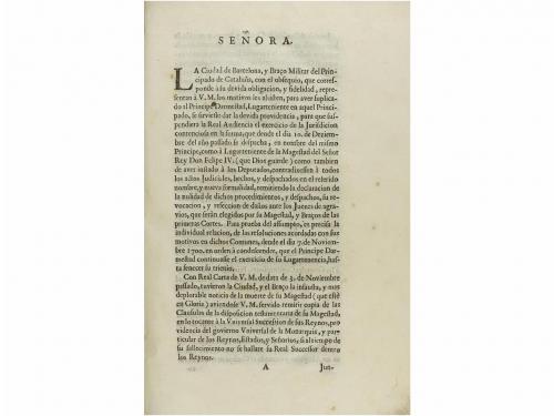 Lote 546