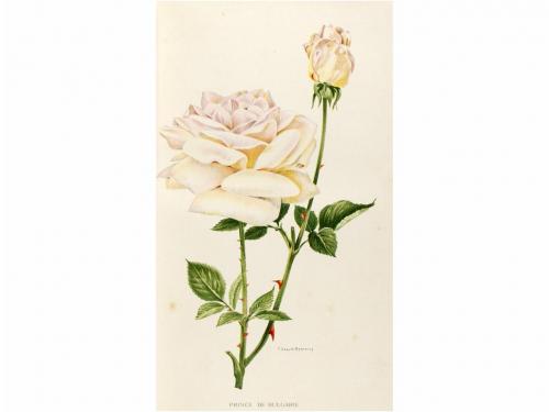 Lot 2265