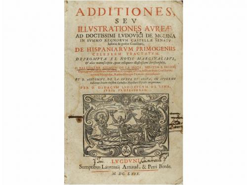 Lot 503