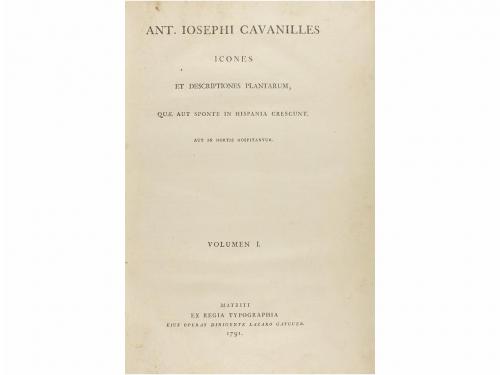 Lot 254