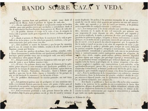 Lote 3149