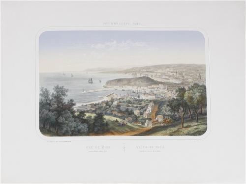 Lot 443