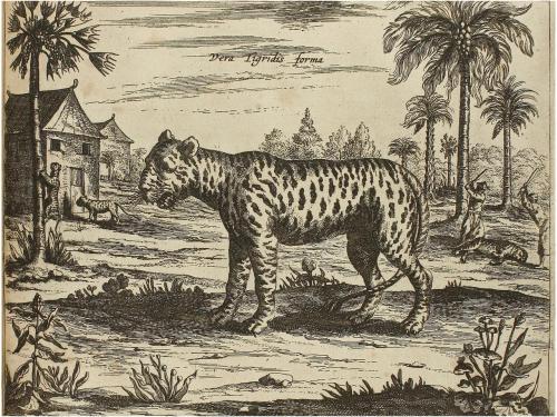 1670. LIBRO. (PRIMERA MISION JESUITA EN CHINA). KIRCHER, ATH