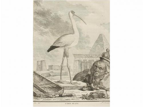 [1749-1789]. LIBRO. (PRIMERA EDICION). BUFFON, GEORGES LOUIS