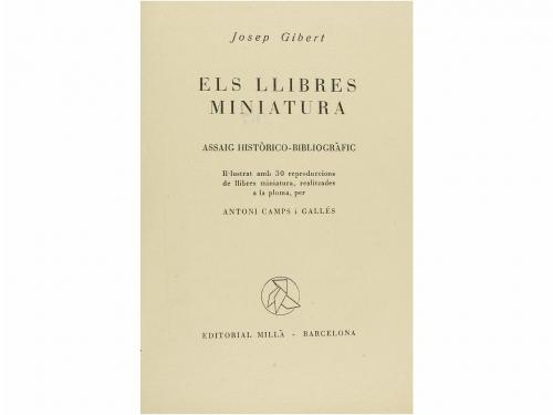 Lote 156