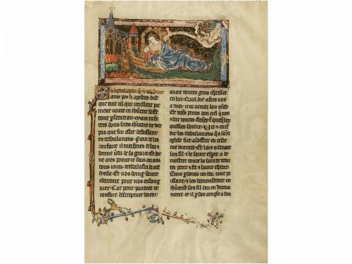 Lot 293
