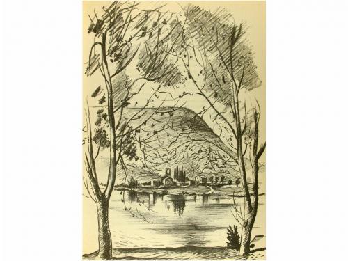 Lot 2231