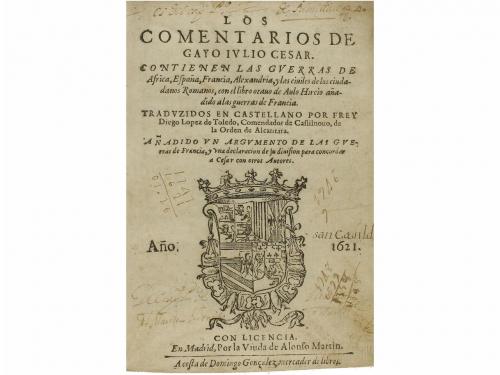 Lote 546