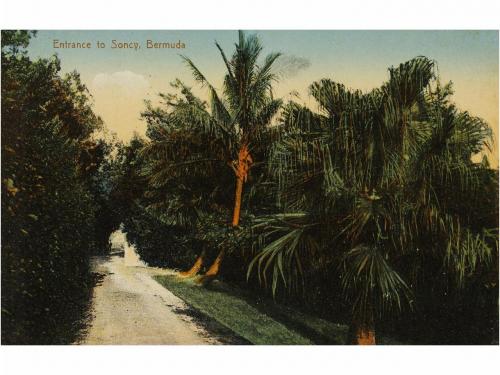 1900-19218. POSTALES. (HISTORIA FOTOGRAFICA DE MEXICO). MIRE