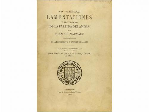Lote 2801