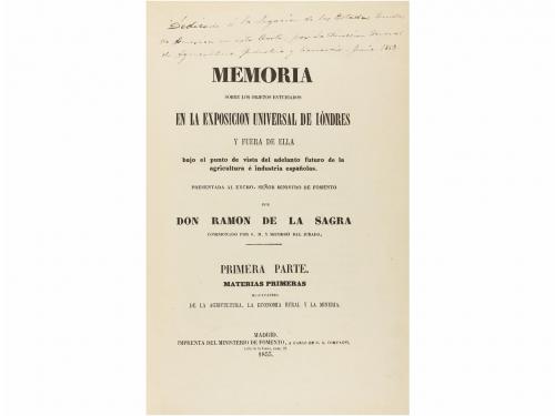 Lote 428