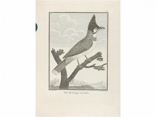 1806. GRABADO. (CHINA). SONNERAT, M.:. COLLECTION DE PLANCHE